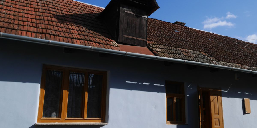 Mám kolóniu netopierov v dome